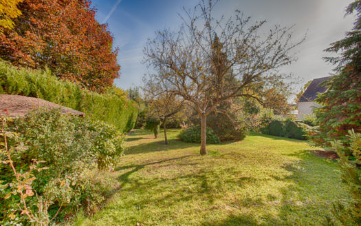 VILLENNES SUR SEINE MAISON T6 TERRAIN 1000 M2